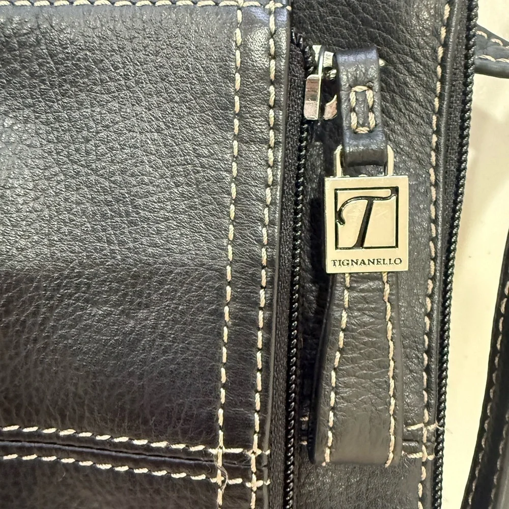 Tignanello Small Black Leather Crossbody Organizer